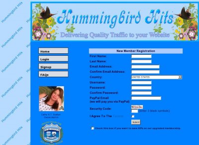 Hummingbird Hits